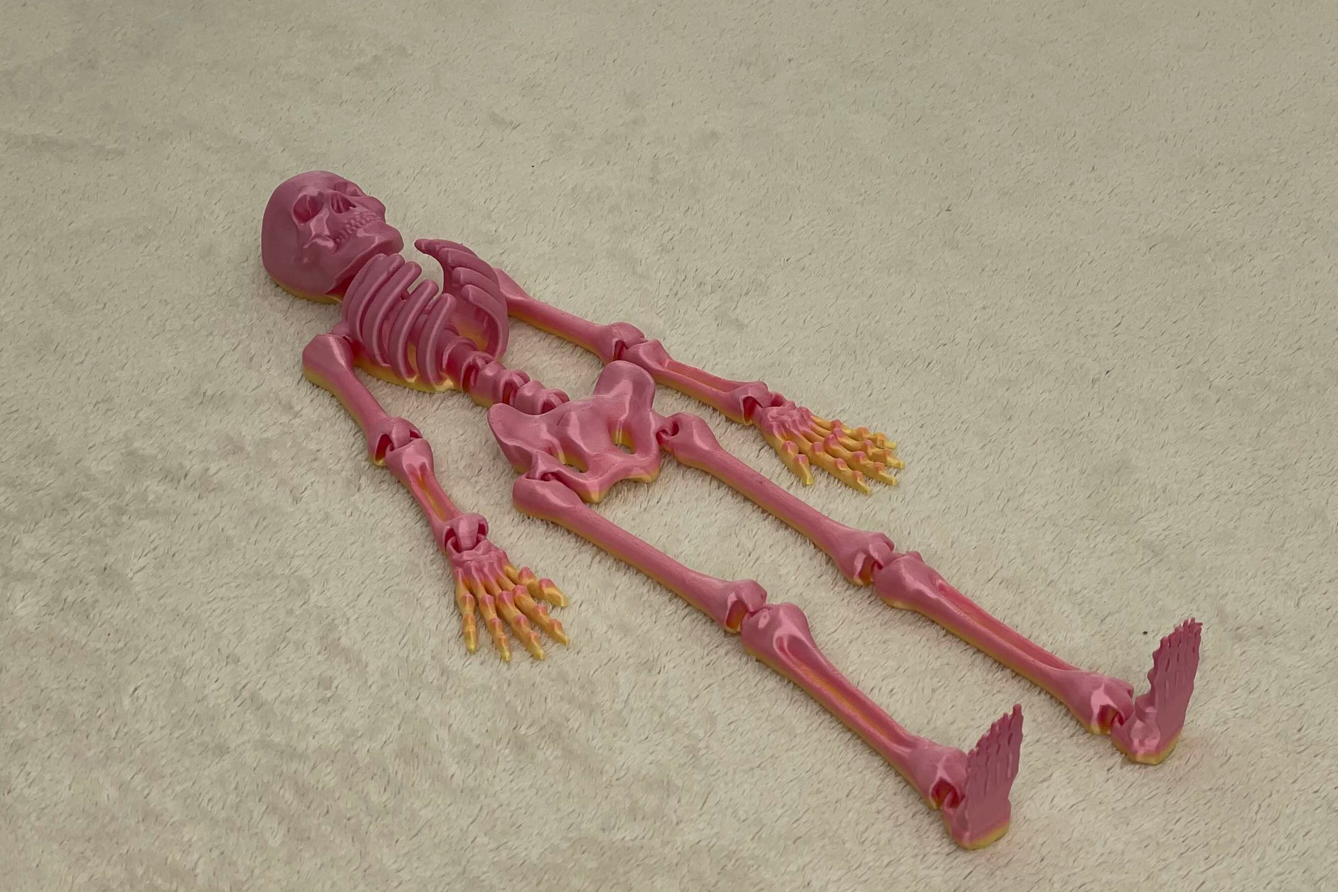 Pohyblivý kostlivec