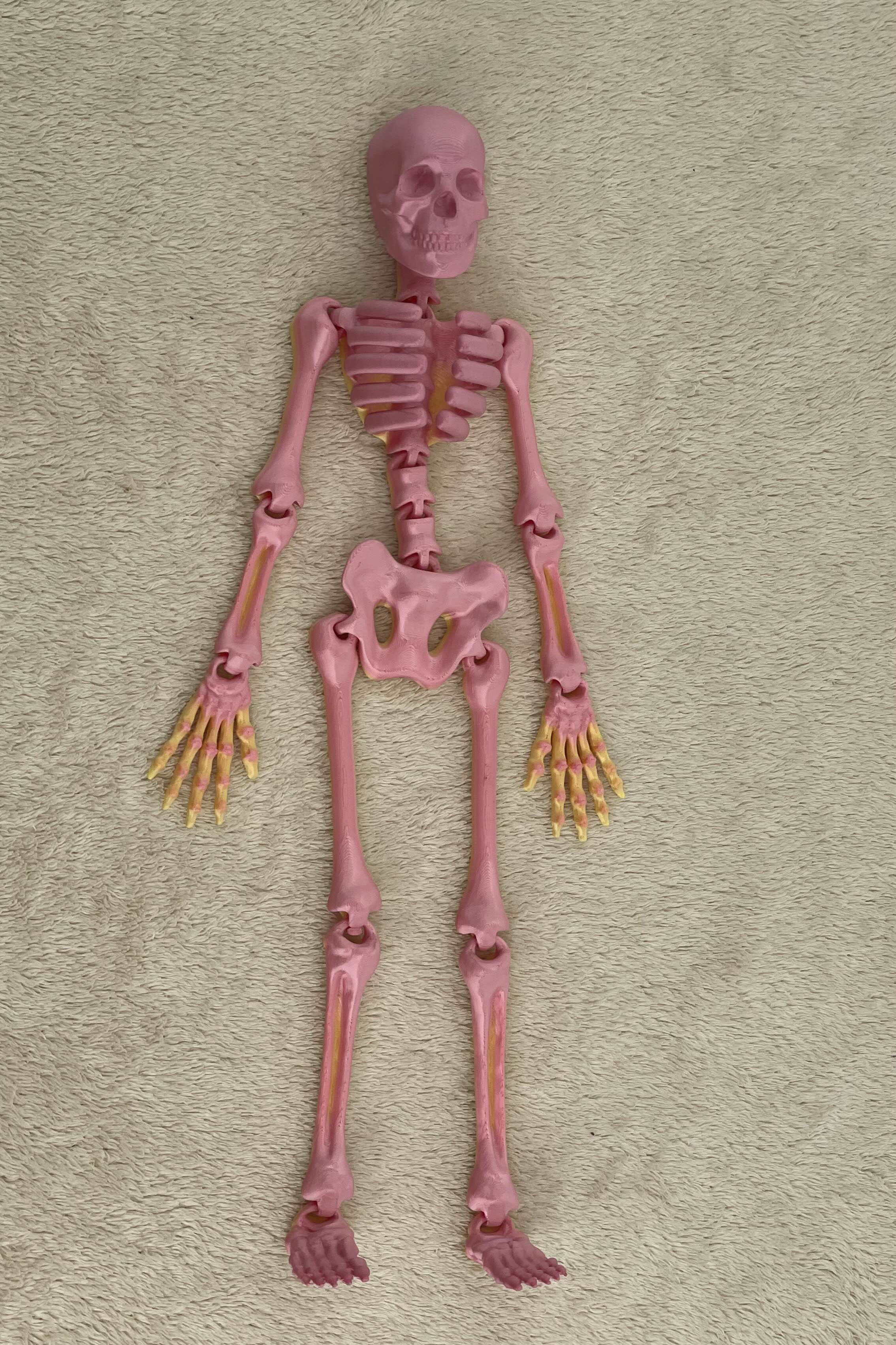 Pohyblivý kostlivec